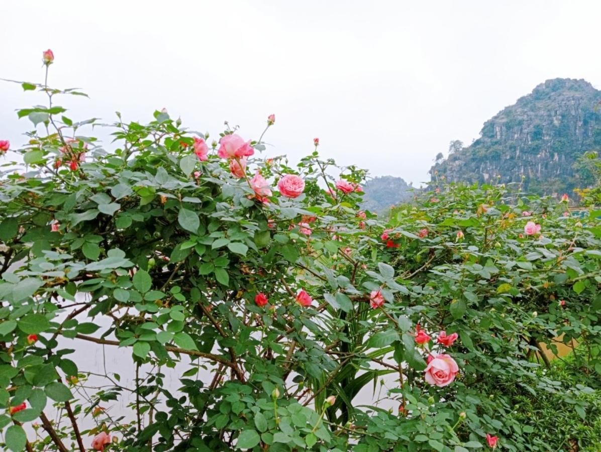 Apartment Ninh Binh *