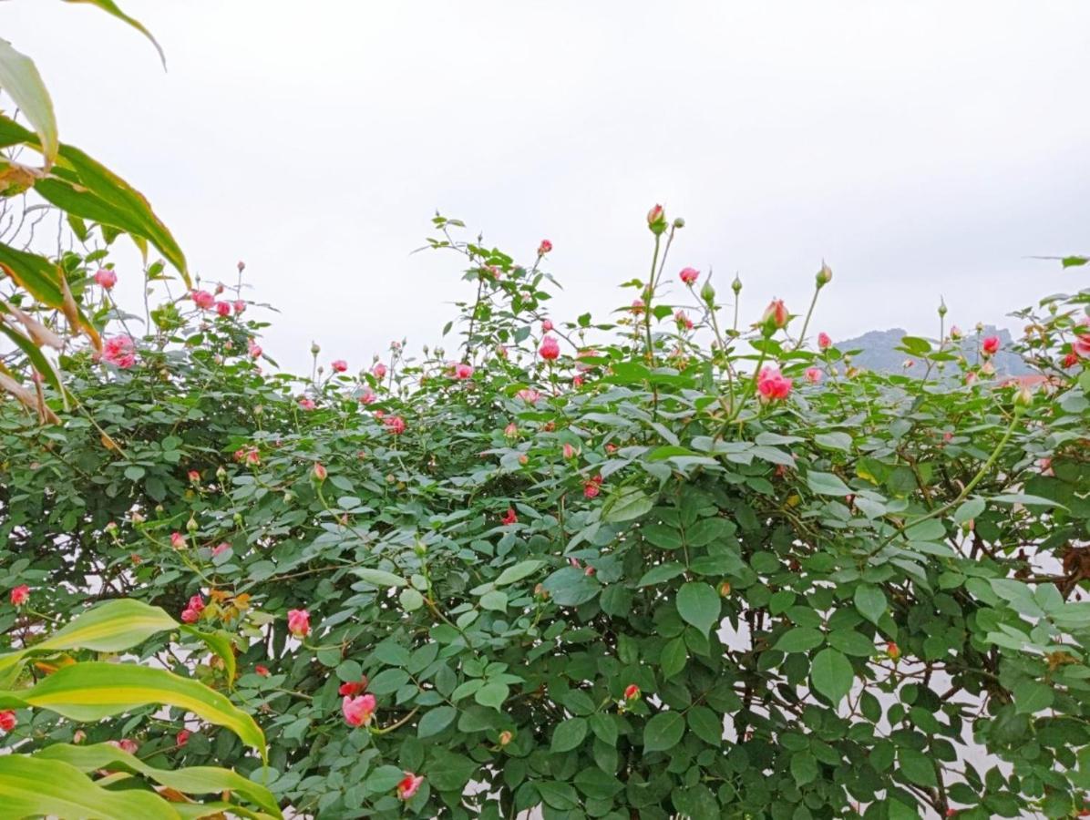 Apartment Ninh Binh La Phu (Ninh Binh)