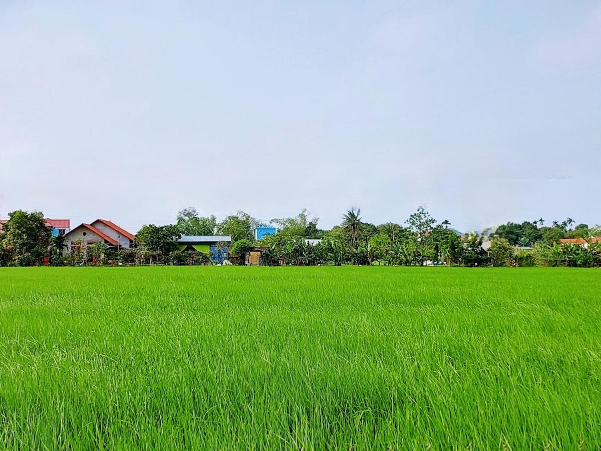Ninh Binh * La Phu (Ninh Binh)
